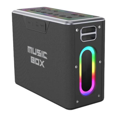 Kõlar HiFuture Music Box Bluetooth + 2 mikrofoni